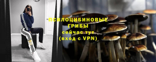 мяу мяу мука Баксан
