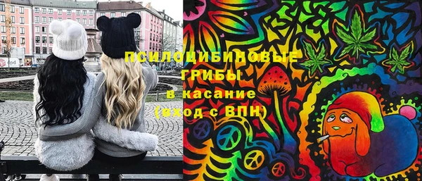 ГАЛЛЮЦИНОГЕННЫЕ ГРИБЫ Балабаново
