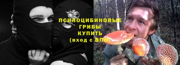 мяу мяу мука Баксан