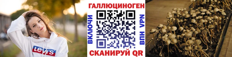 как найти наркотики  Глазов  мориарти официальный сайт  Псилоцибиновые грибы Cubensis 